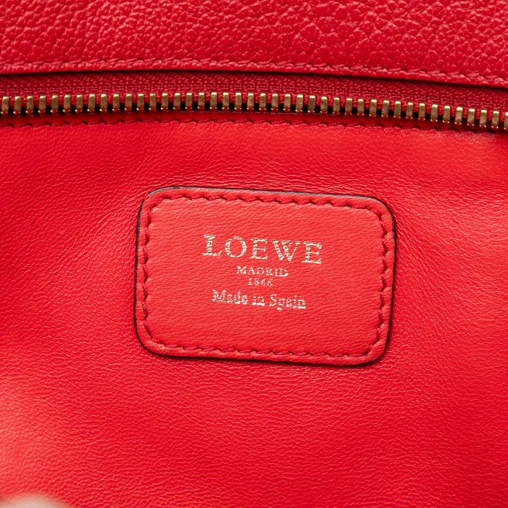 Loewe Goatskin Amazona 28 - 5