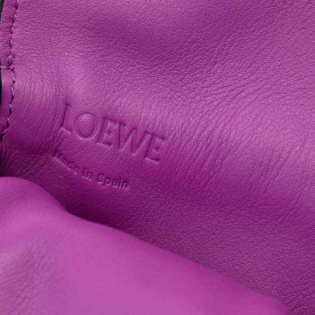 Loewe Nappa Flamenco Pocket Crossbody - 5