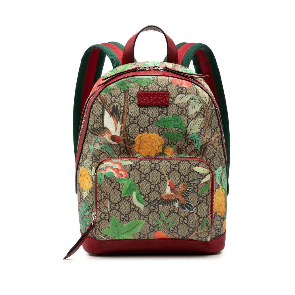 Gucci Small GG Supreme Web Tian Backpack