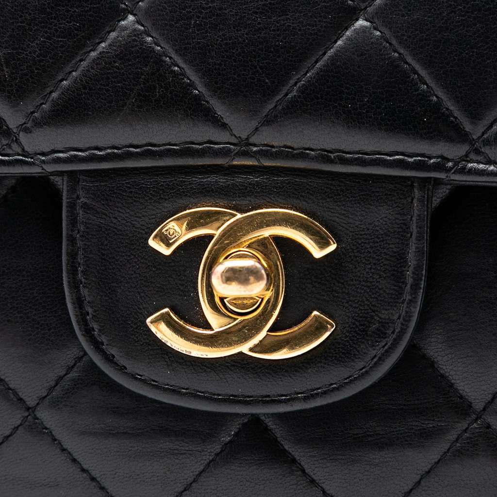 Chanel Medium Quilted Lambskin Double Sided Flap - 5