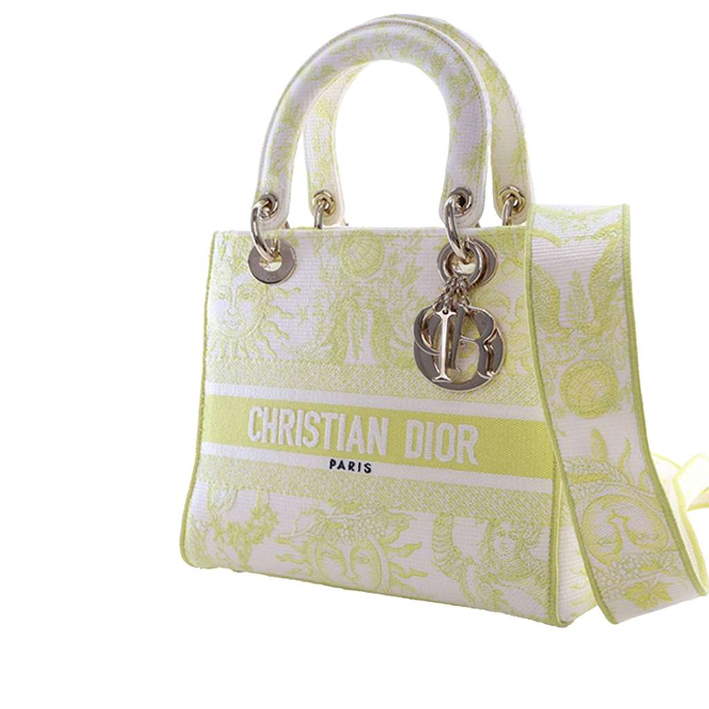 Dior Medium Embroidered Canvas Toile de Jouy Soleil Lady D Lite - 2