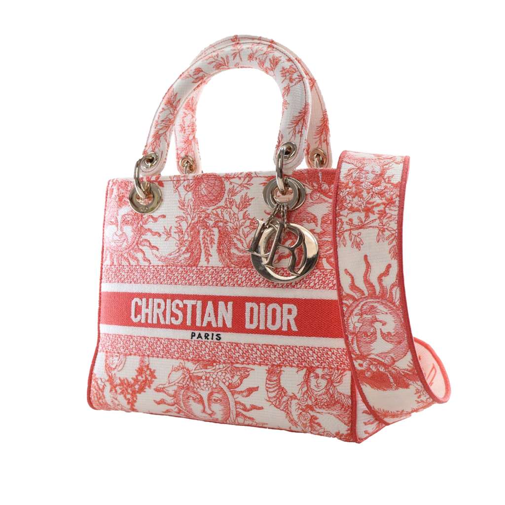 Dior Medium Embroidered Canvas Toile de Jouy Soleil Lady D Lite - 3