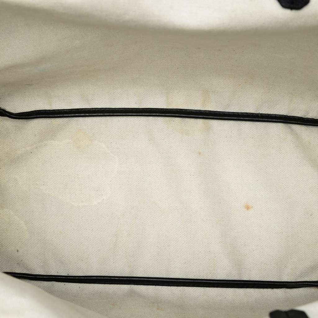 Goyard Goyardine Saint Louis PM - 4