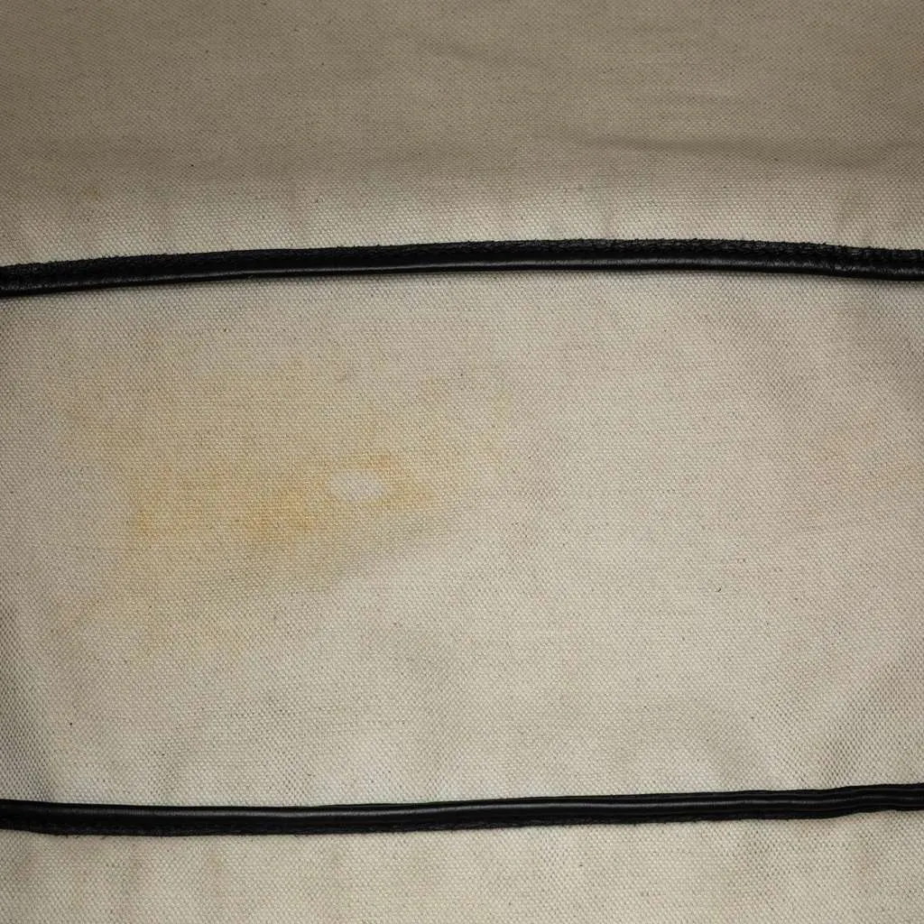 Goyard Goyardine Saint Louis PM Black Canvas Very good - Model View