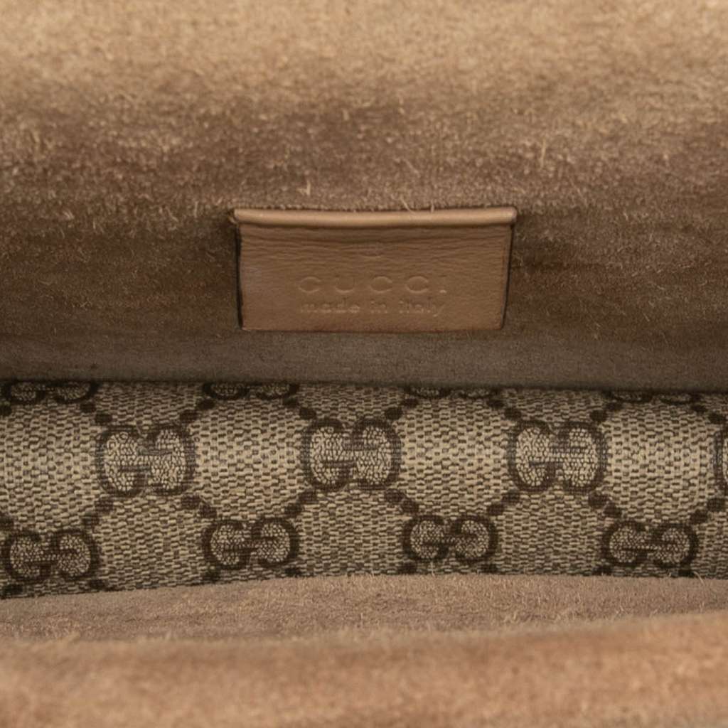 Gucci Small GG Supreme Dionysus Crossbody - 4