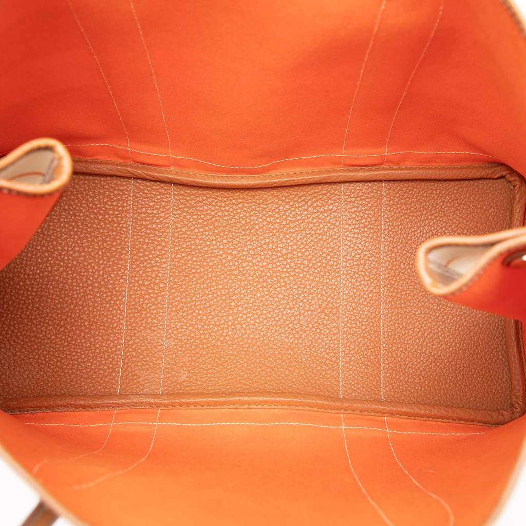 Hermès Toile and Negonda Striped Garden Party 36 - 4