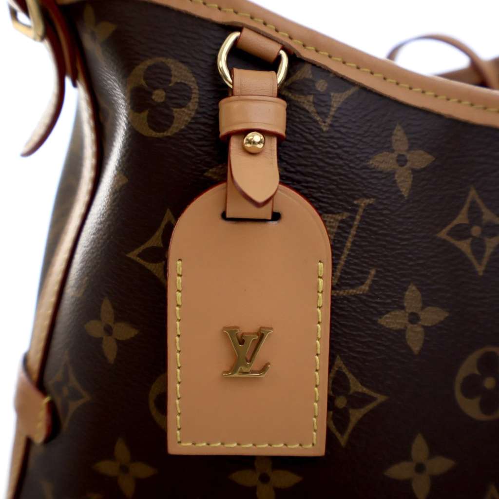Louis Vuitton Monogram CarryAll PM - 5