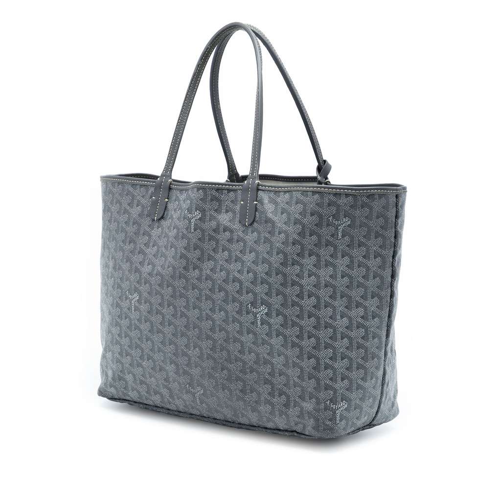 Goyard Goyardine Saint Louis PM - 2