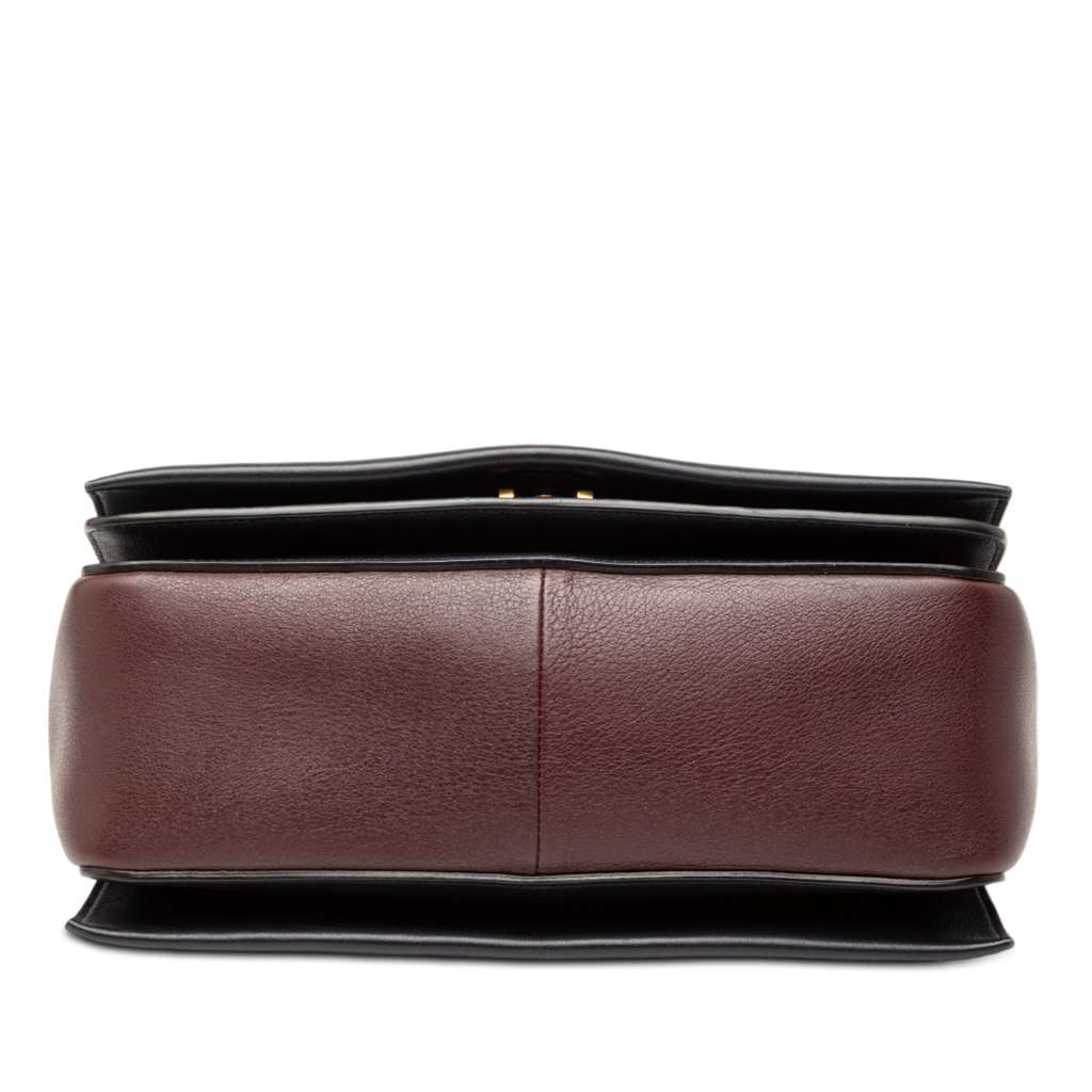 Celine Medium Shiny Smooth Calfskin Frame Shoulder Bag - 3