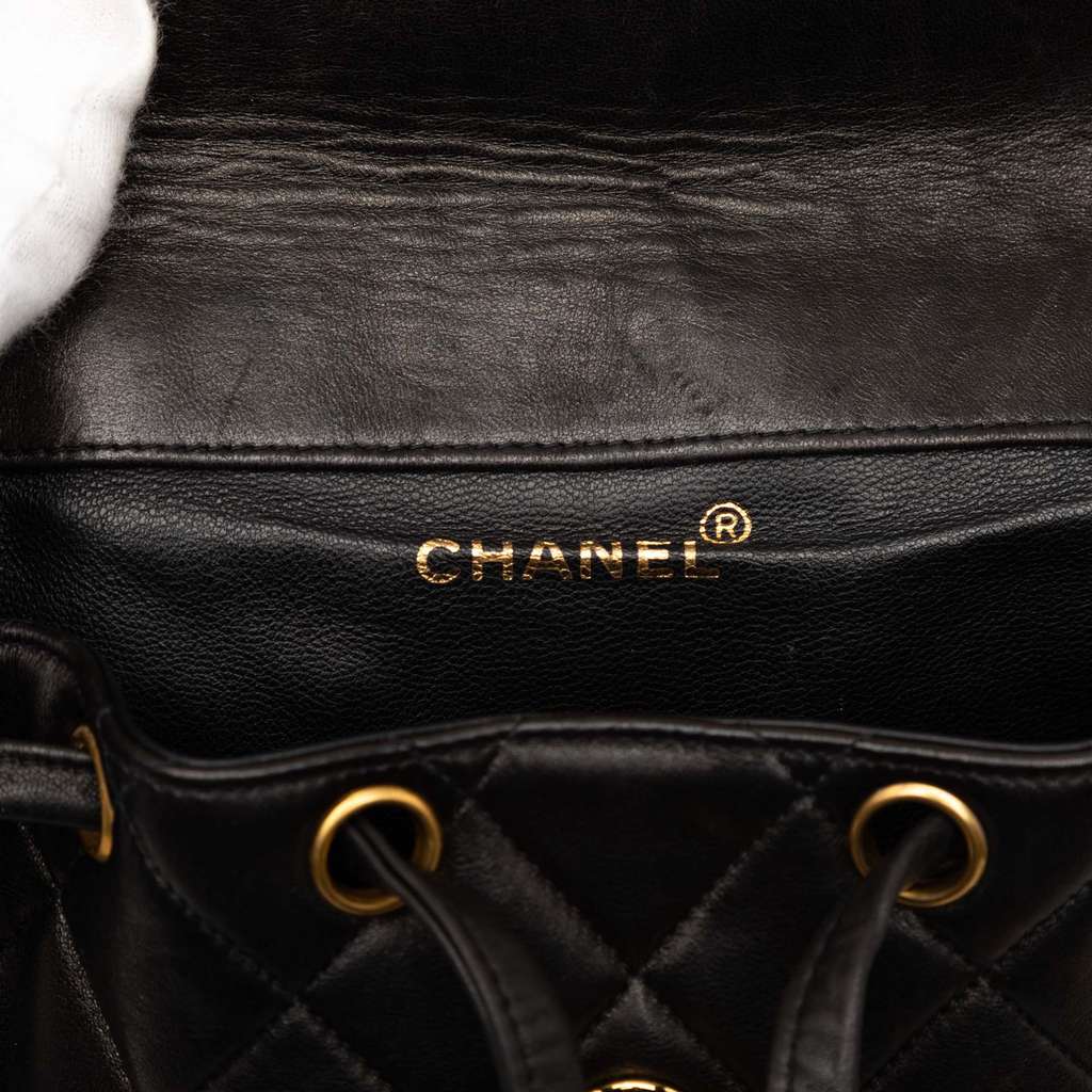 Chanel Medium Quilted Lambskin Duma Backpack - 5
