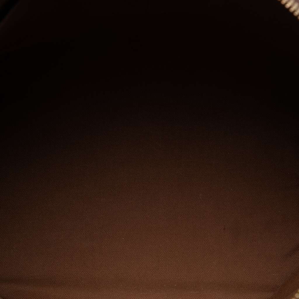 Louis Vuitton Monogram Palermo PM - 4