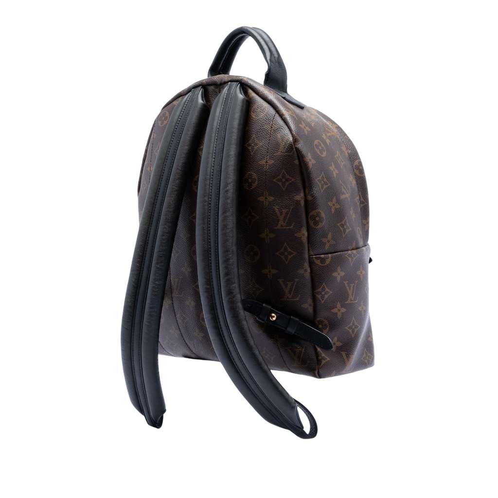 Louis Vuitton Monogram Palm Springs MM - 2