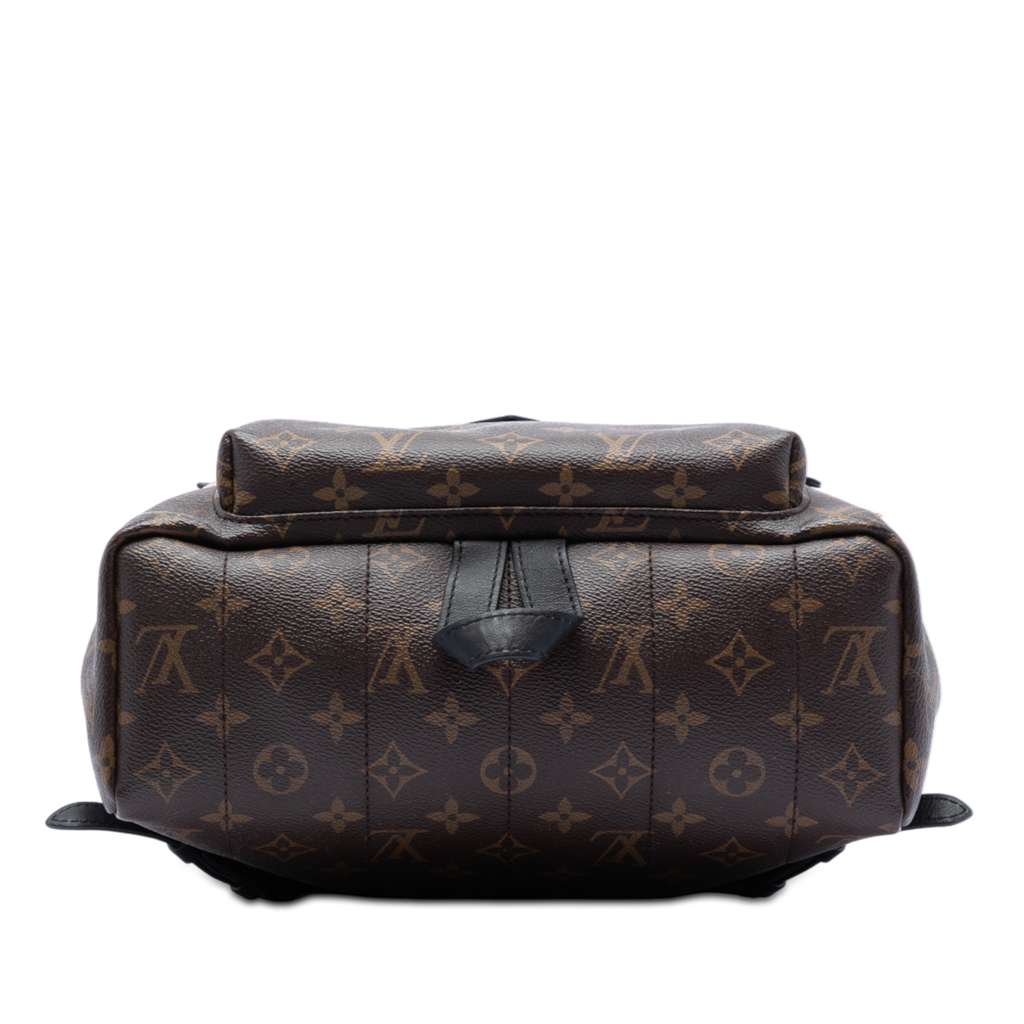Louis Vuitton Monogram Palm Springs MM - 3