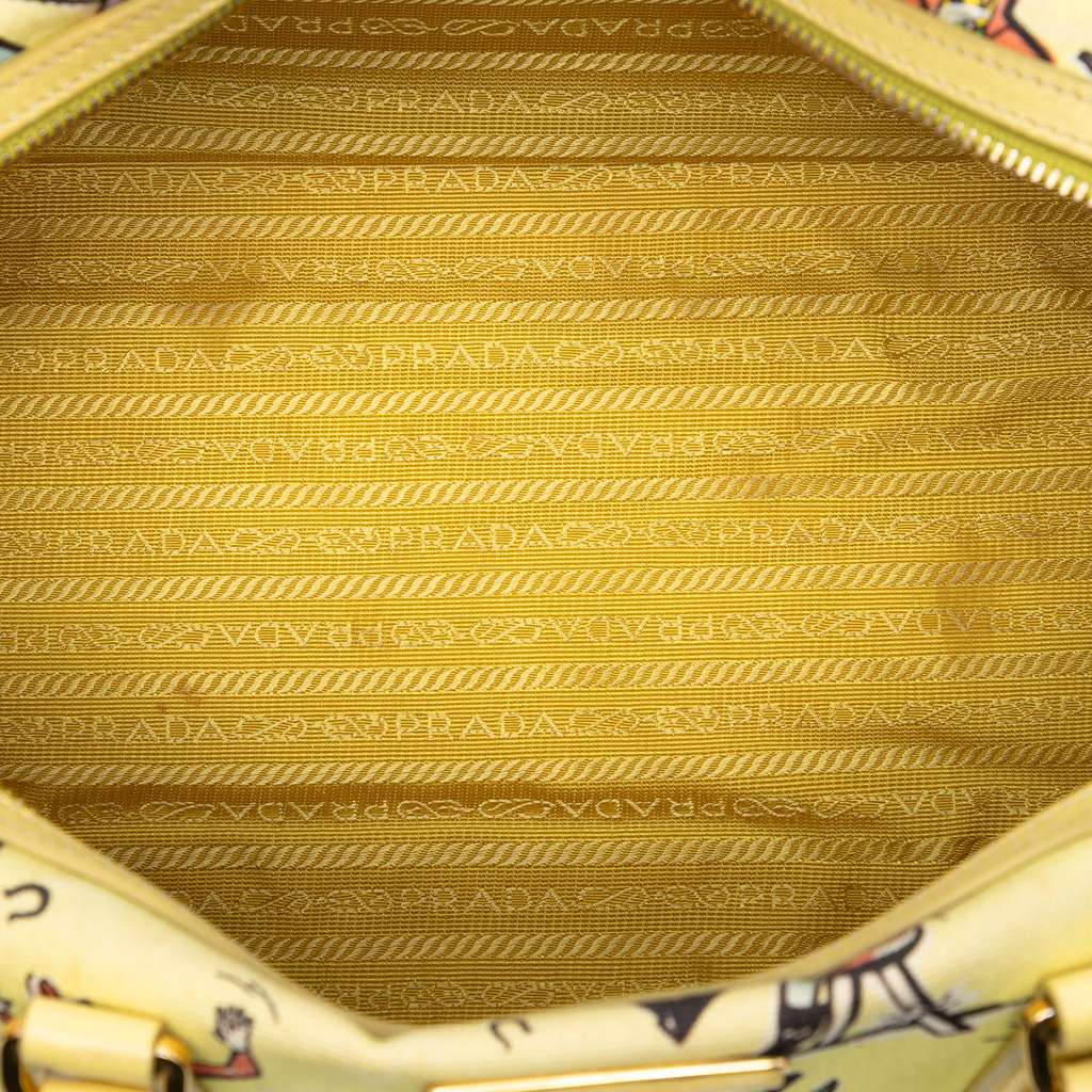 Prada Canvas Canapa St Foula Stampato Satchel - 4