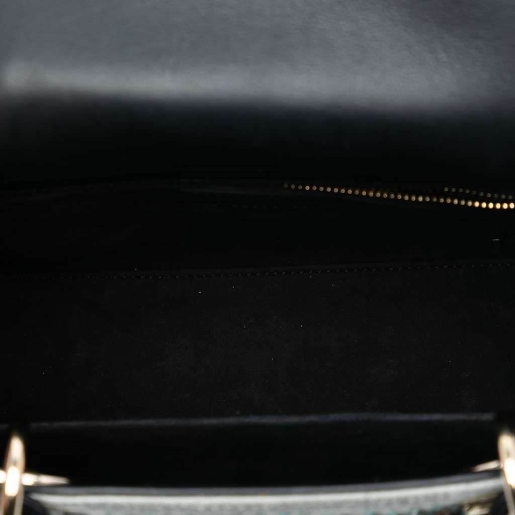 Dior Medium Canvas and Calfskin Beaded Embroidered Jardin De Minuit Lady Dior - 4