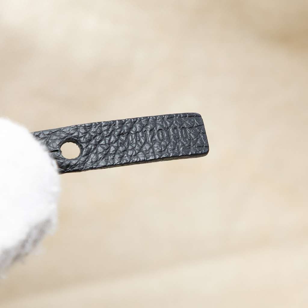 Goyard Goyardine Saint Louis PM - 5