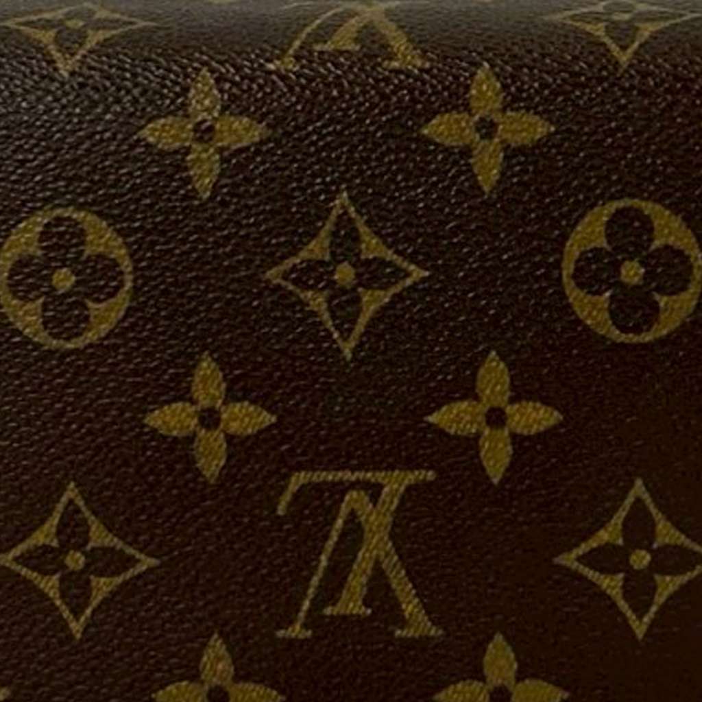 Louis Vuitton Monogram Recital - 5