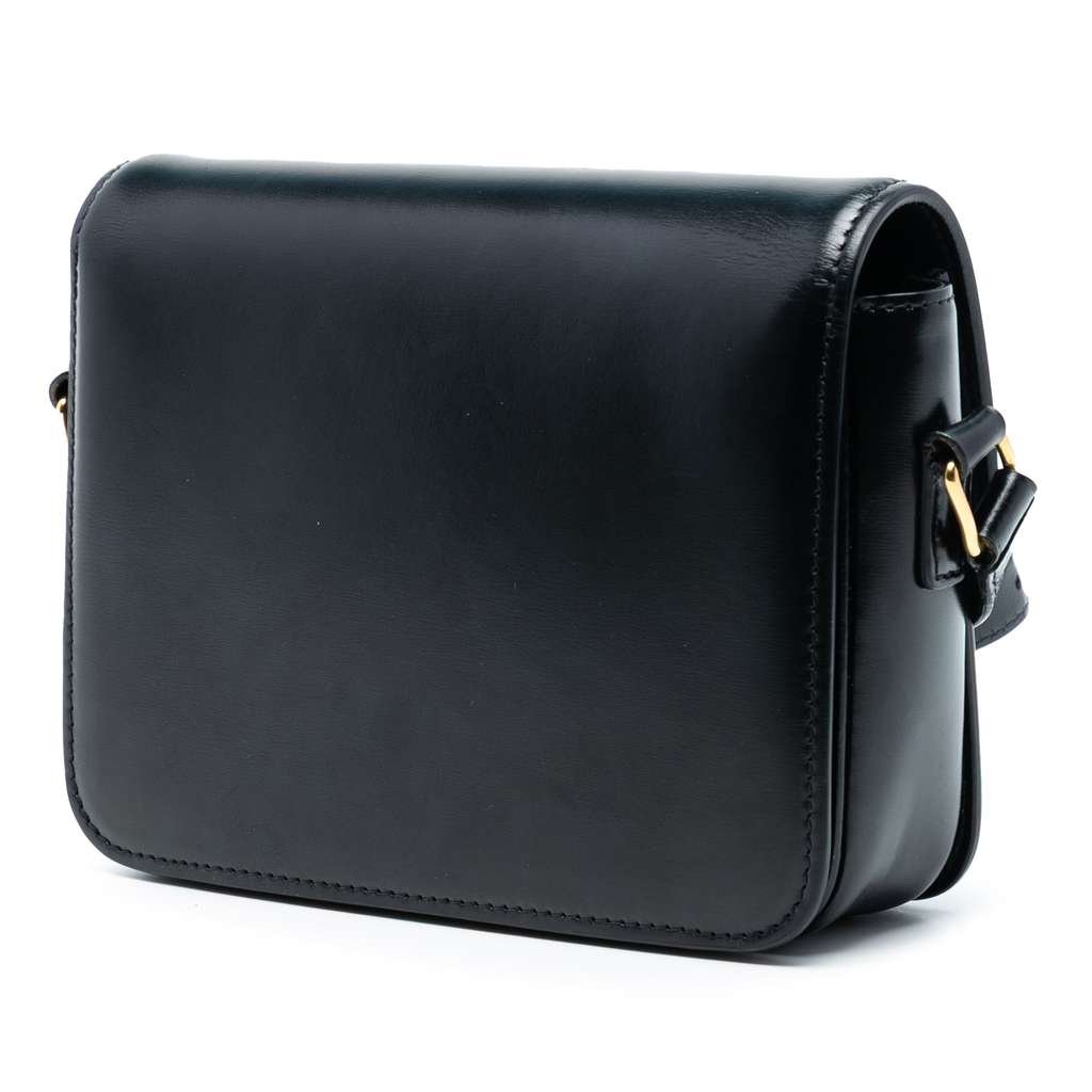 Celine Teen Shiny Calfskin Triomphe Crossbody - 2