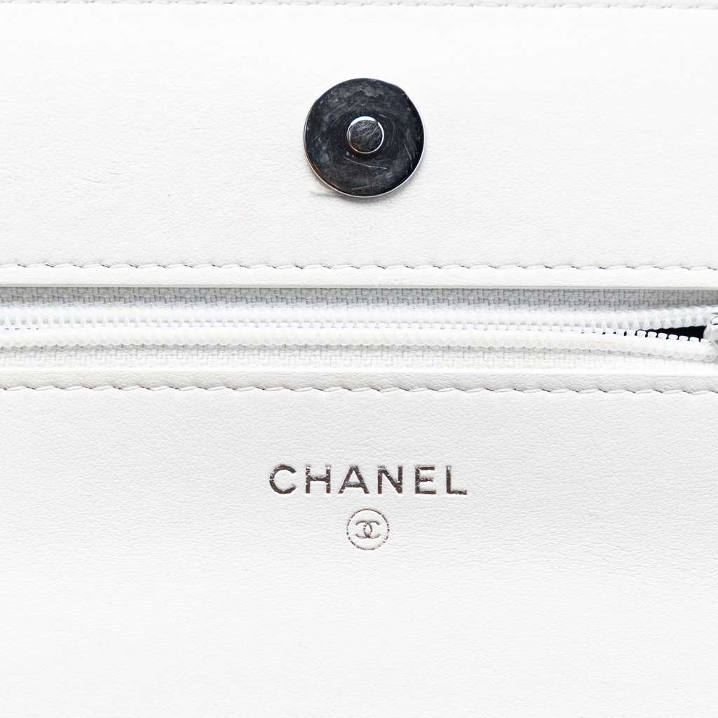 Chanel Quilted Lambskin 19 Wallet on Chain - 5