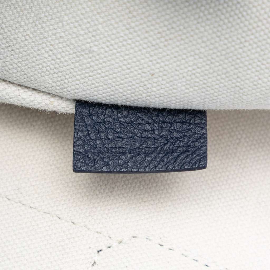 Goyard Goyardine Villette MM - 5