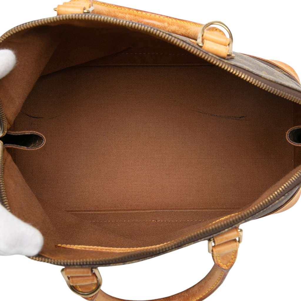 Louis Vuitton Monogram Alma PM - 4