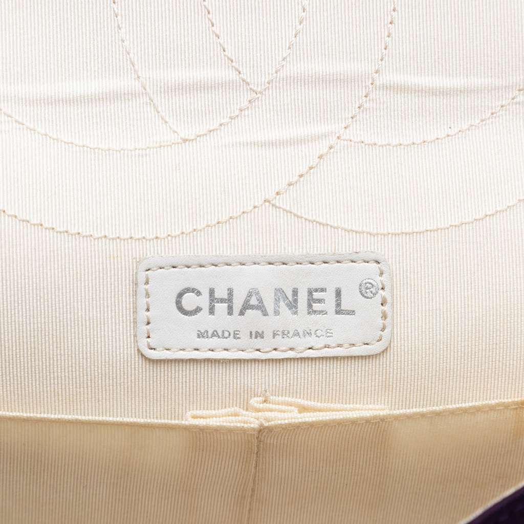 Chanel Quilted Jersey Coco Croc Reissue 2.55 Double Flap 227 - 5