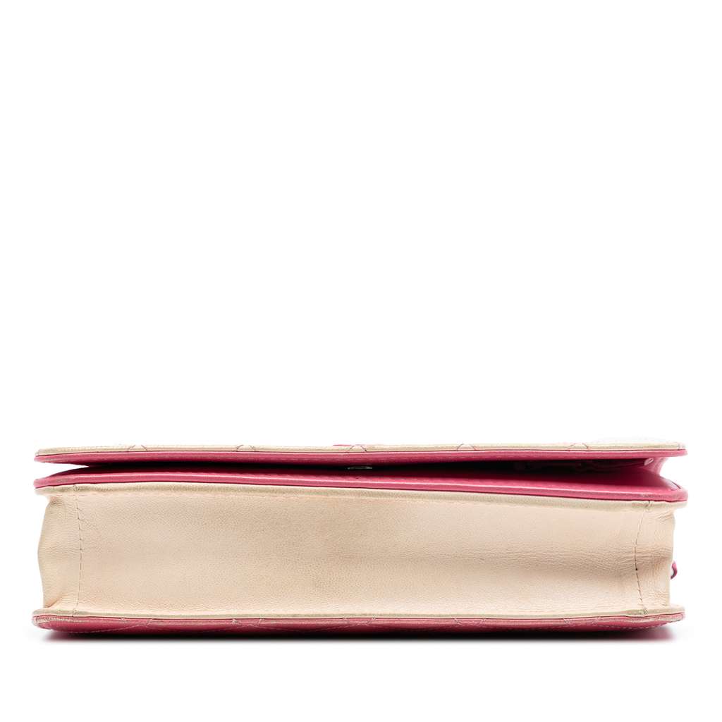 Chanel Ombre Lambskin Degrade Wallet On Chain - 3