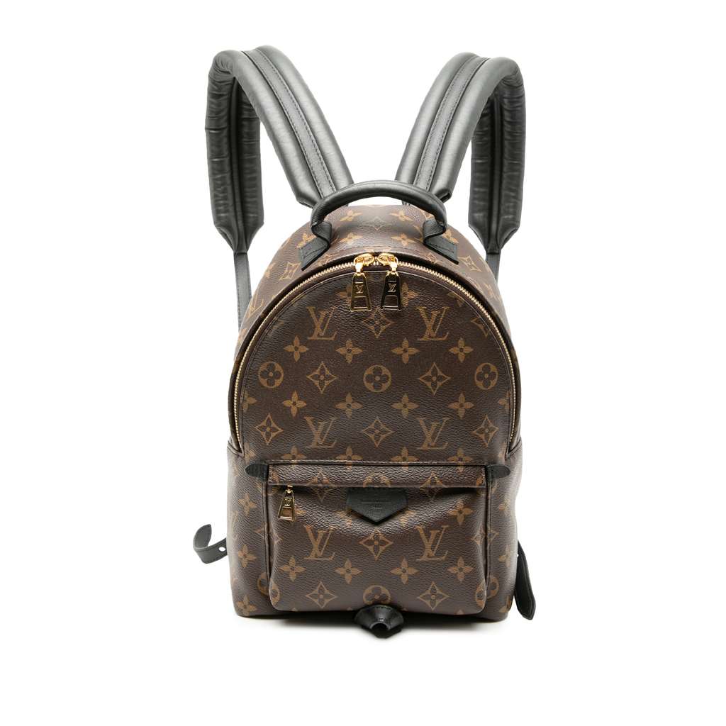 Louis Vuitton Monogram Palm Springs PM