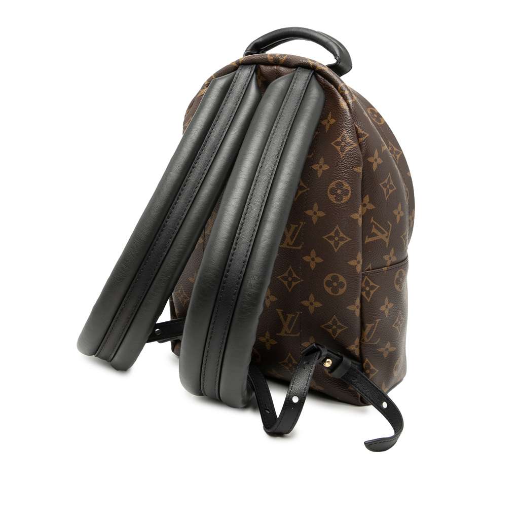 Louis Vuitton Monogram Palm Springs PM - 2