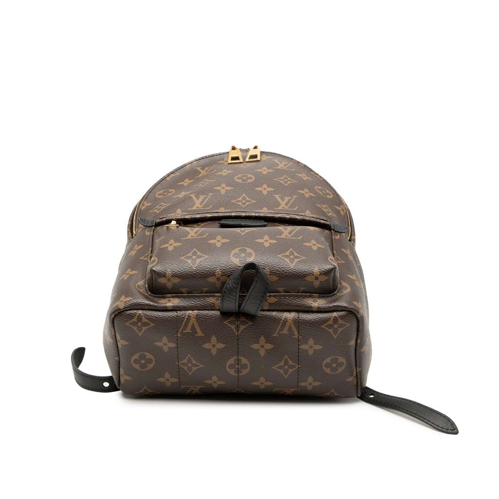 Louis Vuitton Monogram Palm Springs PM - 3