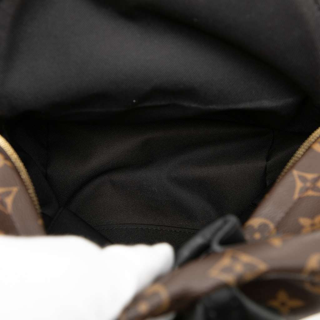 Louis Vuitton Monogram Palm Springs PM - 4