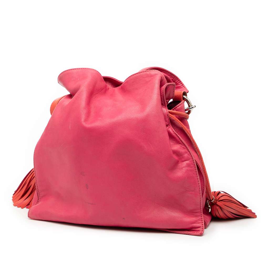 Loewe Bicolor Nappa Flamenco Tassel 30 Crossbody - 2