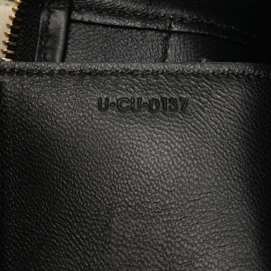 Celine Micro Bicolor Leather Belt Satchel - 5