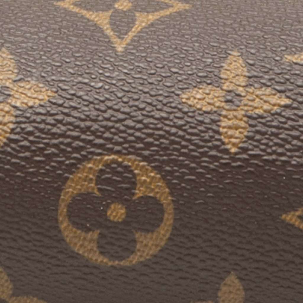 Louis Vuitton Monogram Papillon Pochette - 5