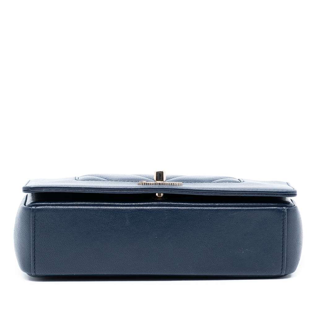 Chanel Mini Quilted Chevron Sheepskin Mademoiselle Vintage Flap - 3