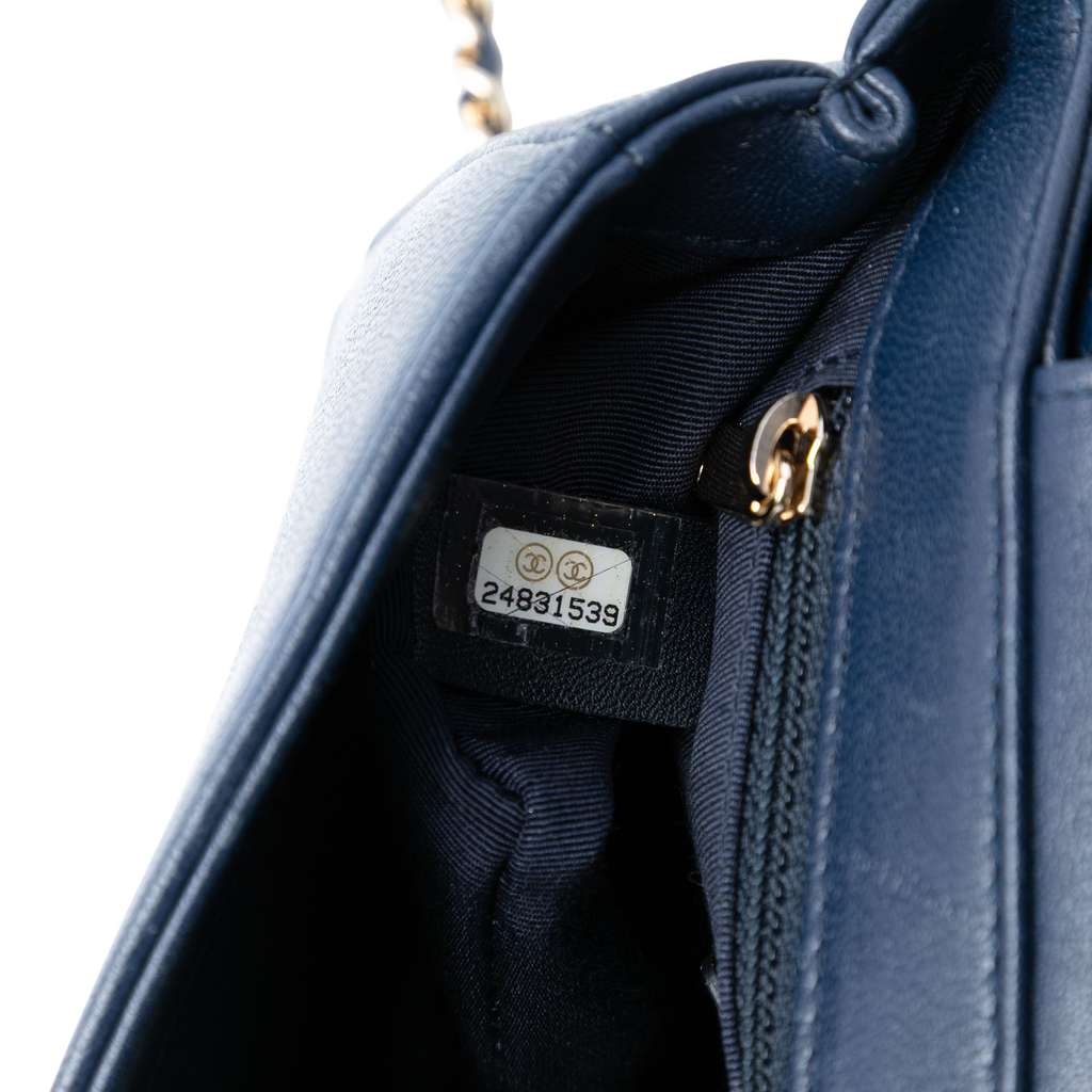 Chanel Mini Quilted Chevron Sheepskin Mademoiselle Vintage Flap - 5