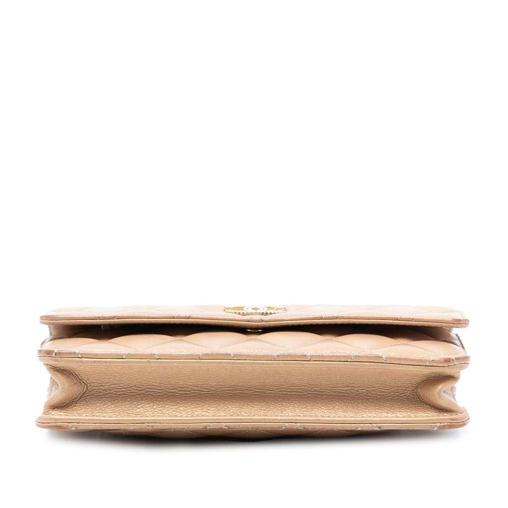 Chanel CC Quilted Iridescent Lambskin Coin Charm Wallet on Chain - 3