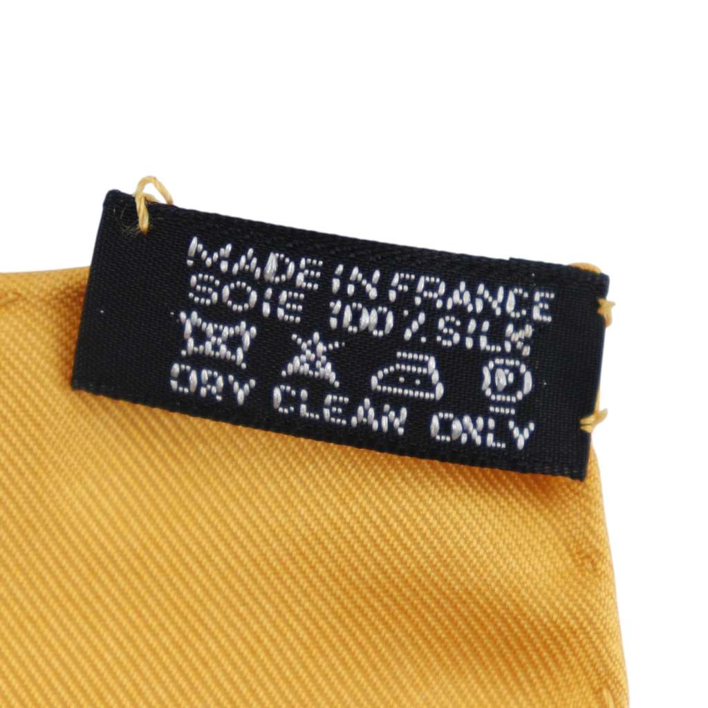 Hermès Terres Precieuses Silk Scarf 90 - 2