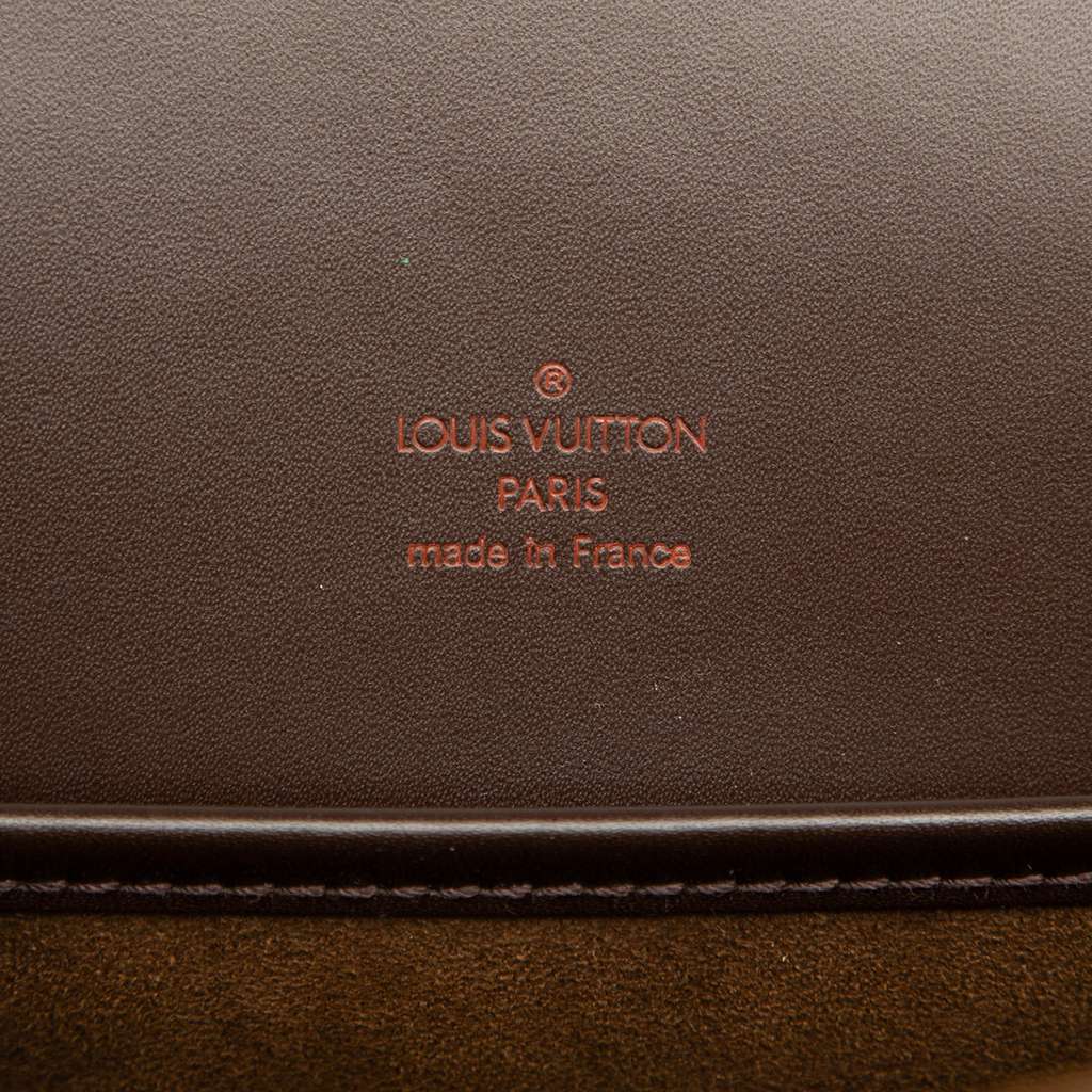 Louis Vuitton Damier Ebene Altona PM - 5