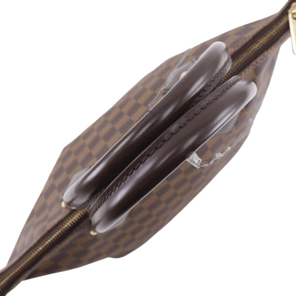 Louis Vuitton Damier Ebene Saleya PM - 4