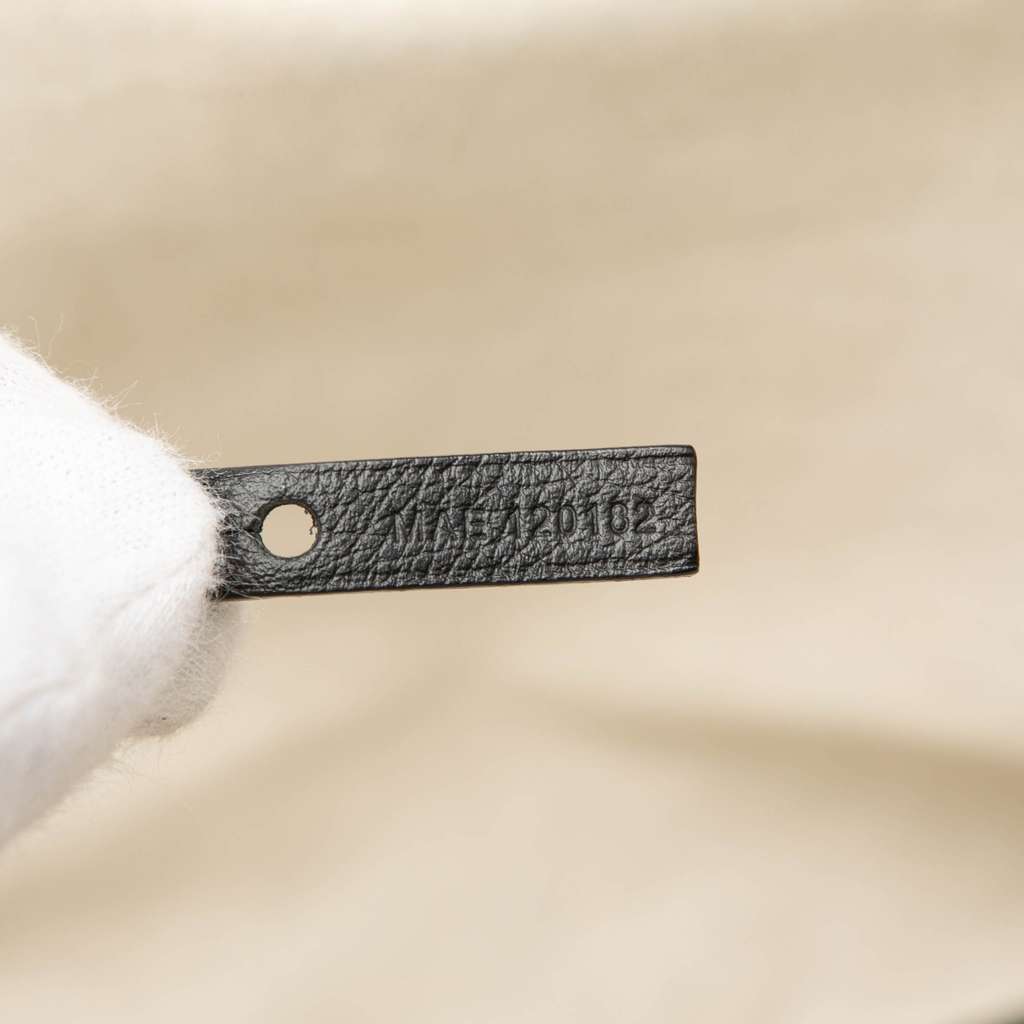 Goyard Goyardine Saint Louis PM - 5