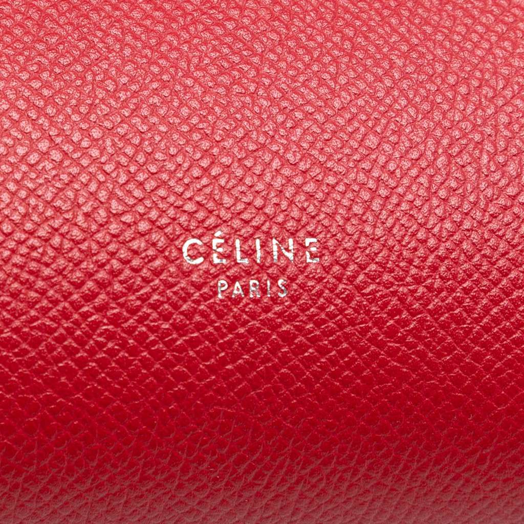 Celine Micro Grained Calfskin Belt Bag - 5