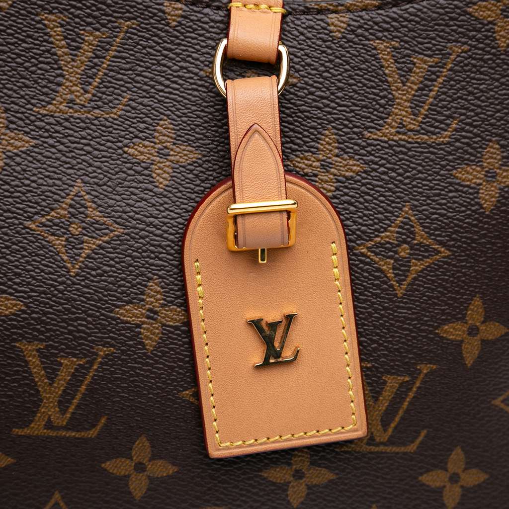 Louis Vuitton Monogram Odeon MM - 5