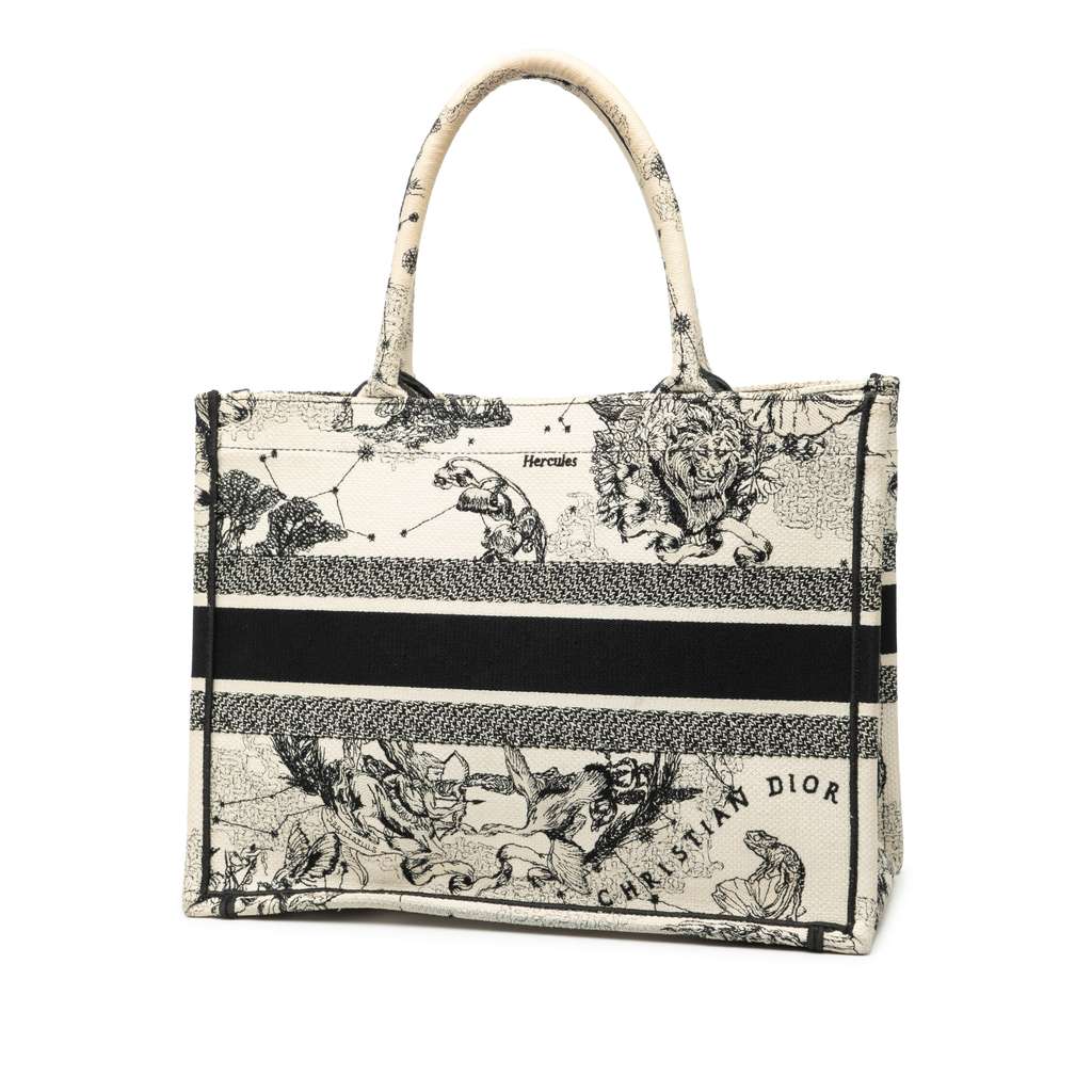 Dior Medium Canvas Embroidered Zodiac Toile De Jouy Book Tote - 2
