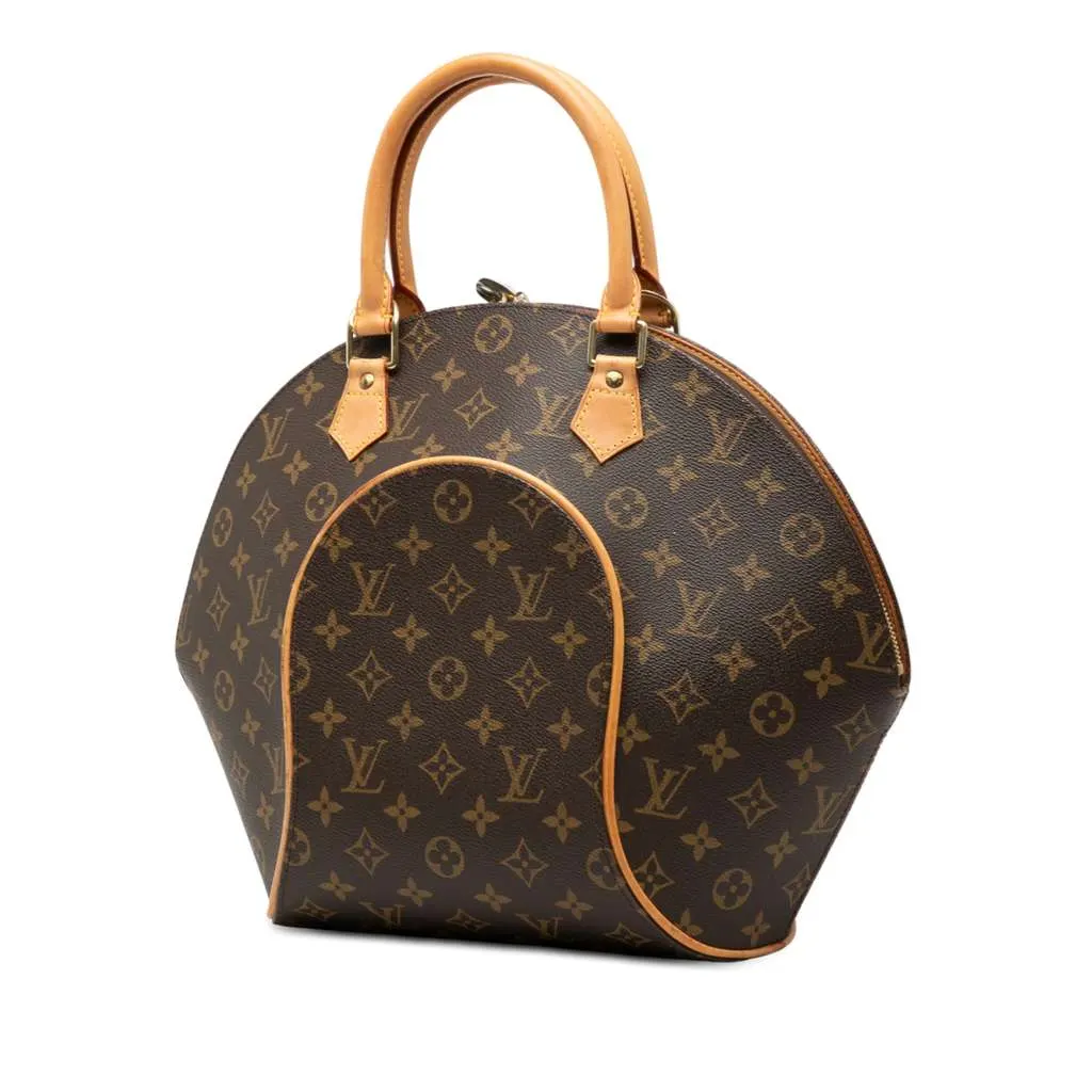 Louis Vuitton Monogram Ellipse MM Brown Good - Back View