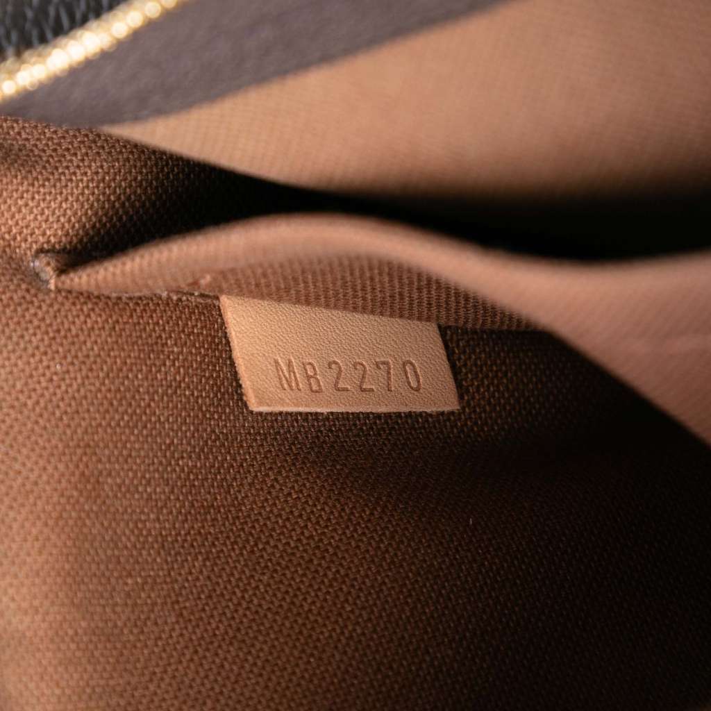 Louis Vuitton Monogram Multi Pochette Accessoires - 5