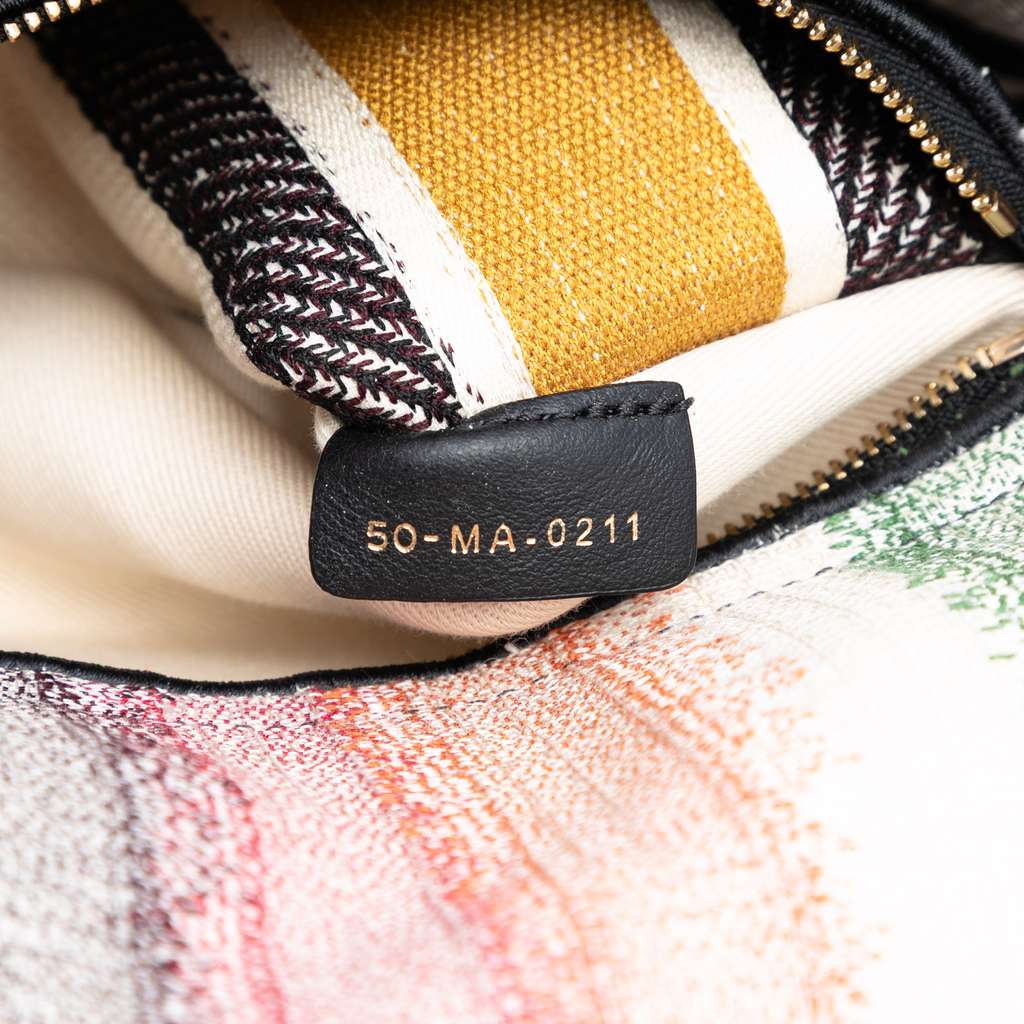 Dior Medium Embroidered Multicolor Canvas Striped Lady D Lite - 5