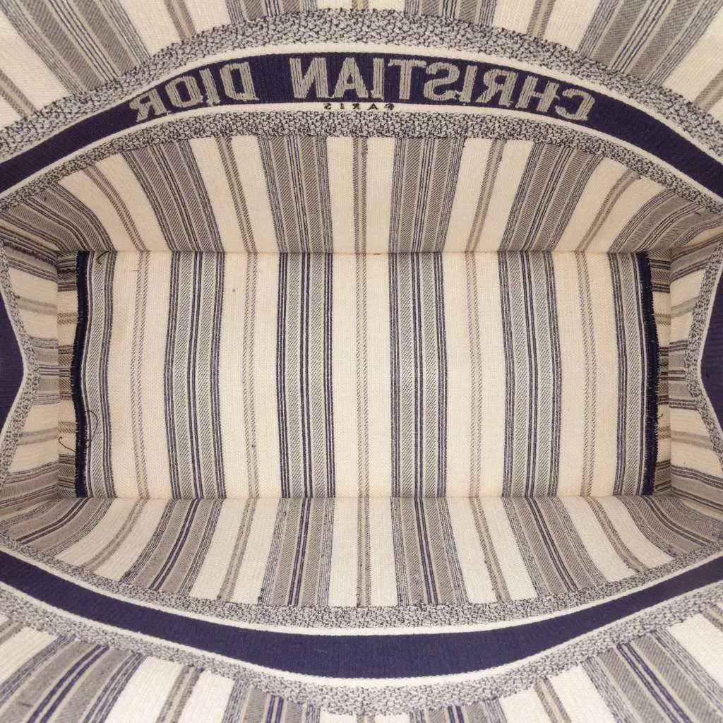 Dior Large Canvas Striped Book Tote Blue Canvas Good - Model View