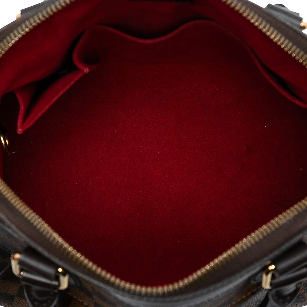 Louis Vuitton Damier Ebene Trevi PM - 4