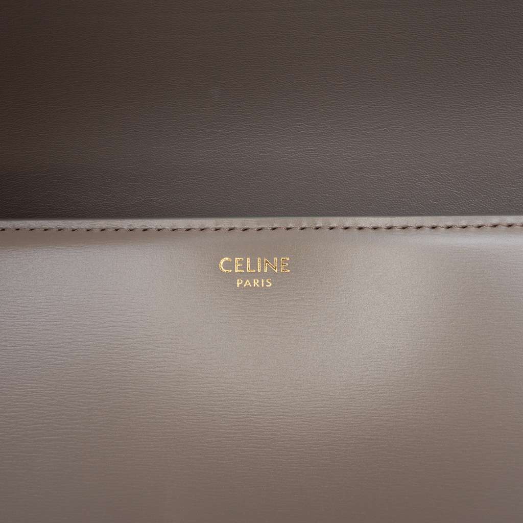 Celine Classique Shiny Calfskin Triomphe Crossbody - 5